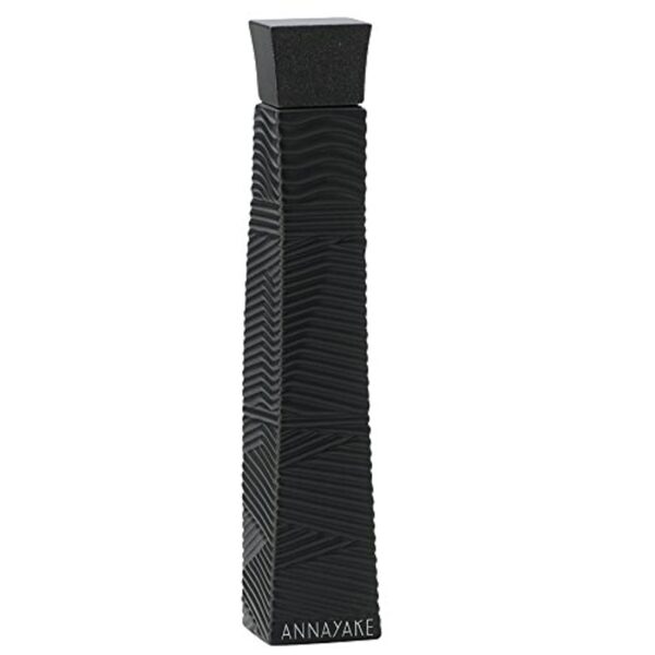 Annayake Pour Lui Eau de Toilette 100ml Spray - Image 2