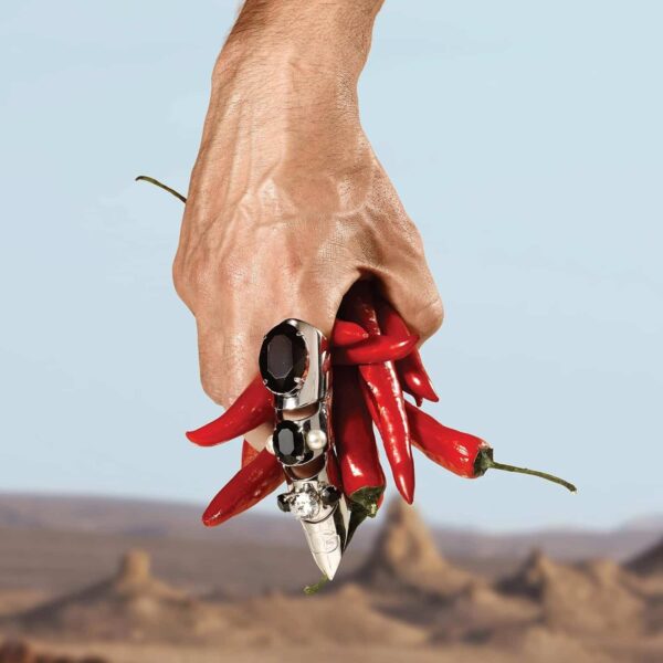 71prhzmool ac sl1500