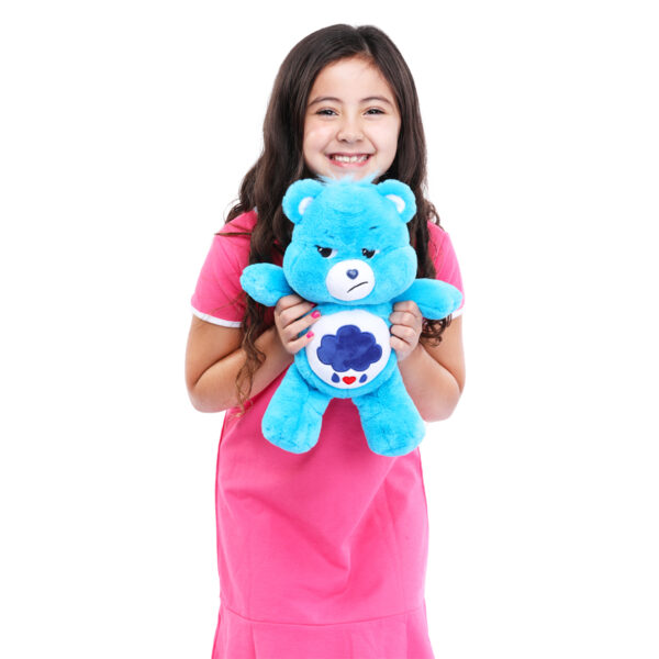 Care Bears CB22062 Medium Plush Toy 14" Toy - Grumpy Bear - Image 4