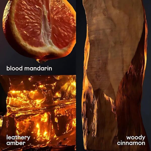 Paco Rabanne 1 Million Eau De Toilette 100ml Spray