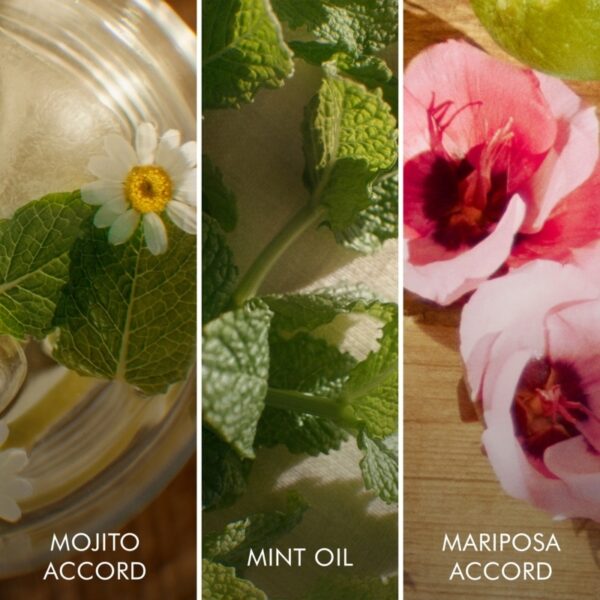 Escada Brisa Cubana Eau de Toilette 100ml Spray - Image 3