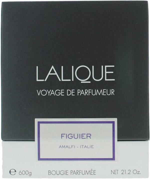 Lalique Candle 600g - Figuier Amalfi