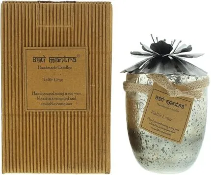 Bali Mantra Hibiscus Glass Silver Candle 500g - Redcurrant