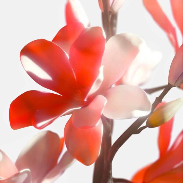 Tommy Hilfiger Tommy Girl Now Eau de Toilette 30ml Spray - Image 2