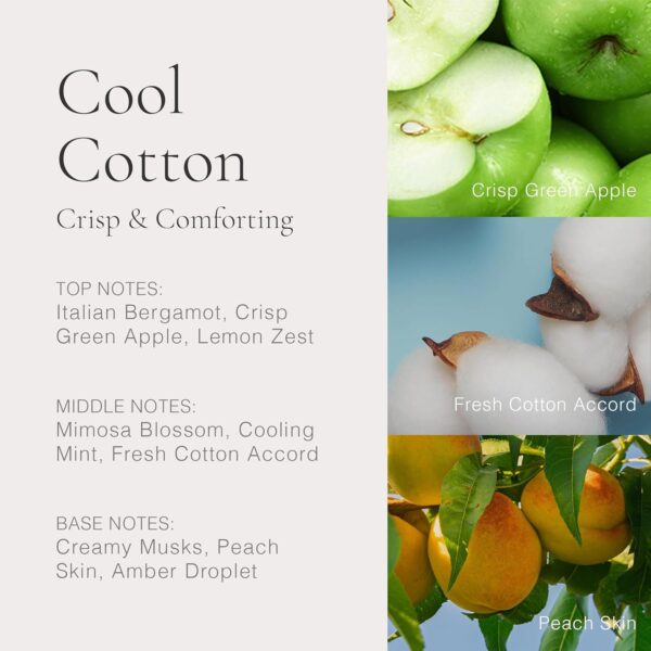 Clean Cool Cotton Eau de Parfum 60ml Spray - Image 3