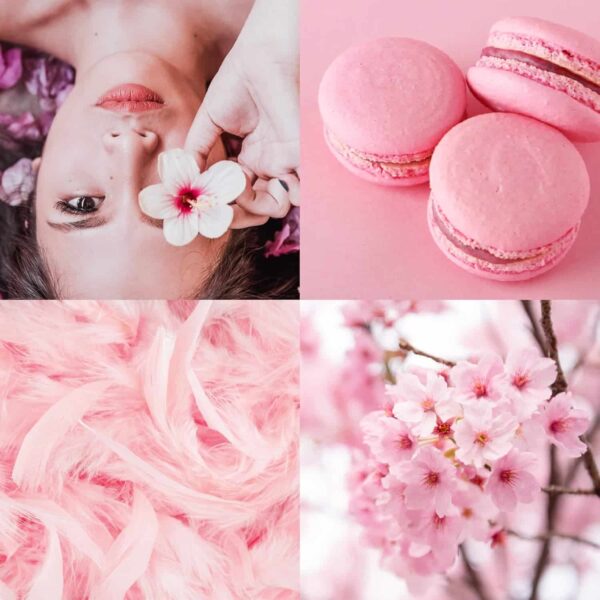 Taylor of London White Satin Parfum de Toilette 50ml Spray - Image 4