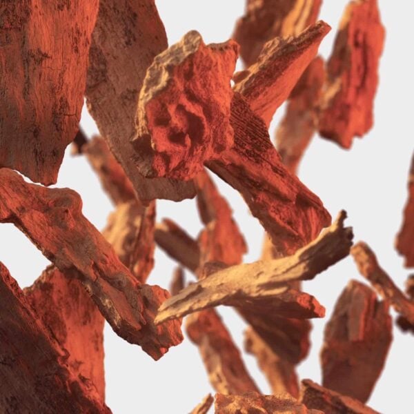 Tommy Hilfiger Tommy Girl Now Eau de Toilette 30ml Spray - Image 3