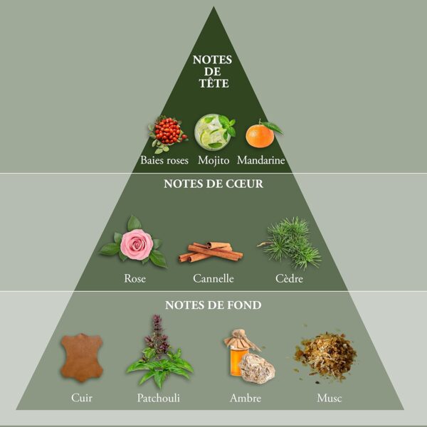 Evaflor Whisky Origin Eau de Toilette 100ml Spray - Image 3