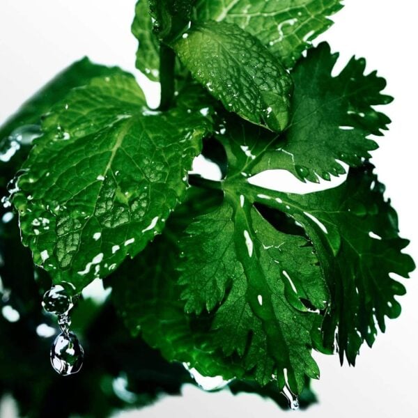 Davidoff Cool Water Deodorant Stick 70g - Image 2