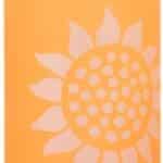 Elizabeth Arden Sunflowers Deodorant Spray 150ml Spray