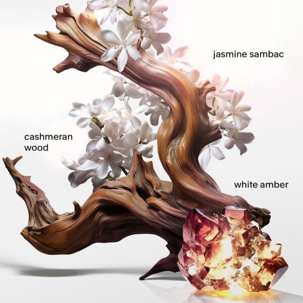 61vrsbfu59l ac sl1003