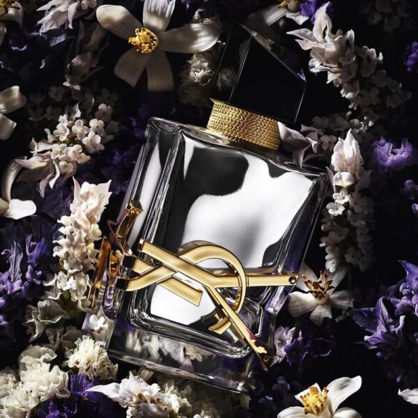 avbtl ac sl