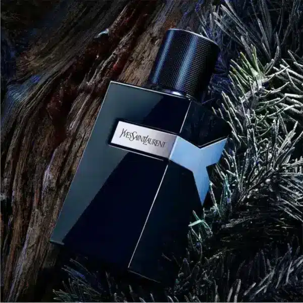 Yves saint laurent y le parfum notes