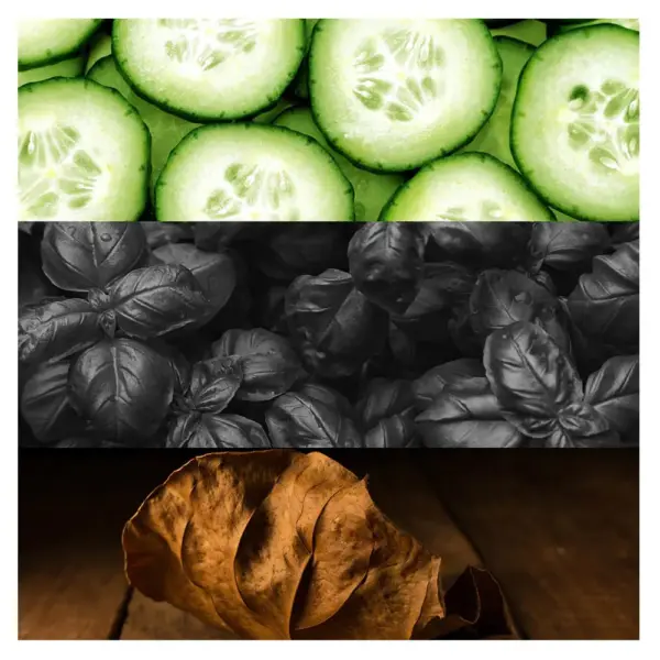 Calvin Klein CK One Shock Eau de Toilette 200ml Spray - Image 3