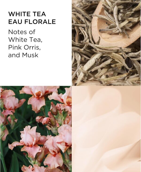 Elizabeth Arden White Tea Eau Florale Eau de Toilette 50ml Spray - Image 3