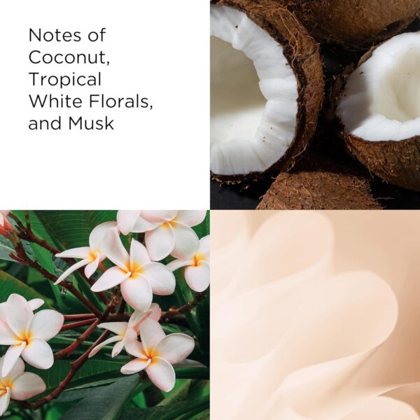 Elizabeth Arden Green Tea Coconut Breeze Honey Drops Body Cream 500ml - Image 4