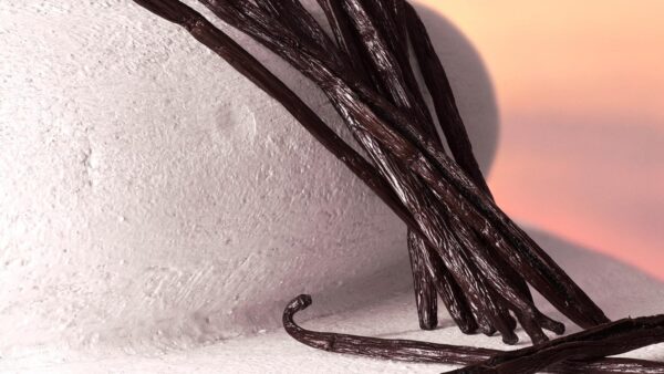 Dolce & Gabbana Devotion Intense Eau de Parfum 30ml Spray - Image 4