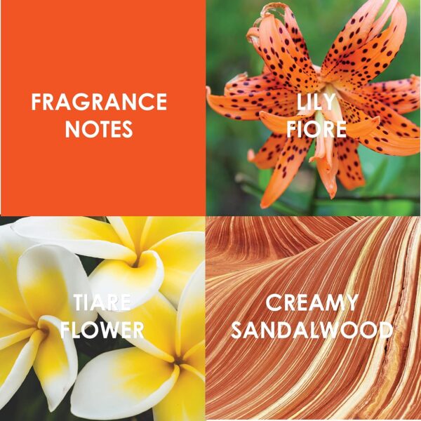 Britney Spears Blissful Fantasy Eau de Toilette 30ml Spray - Image 3