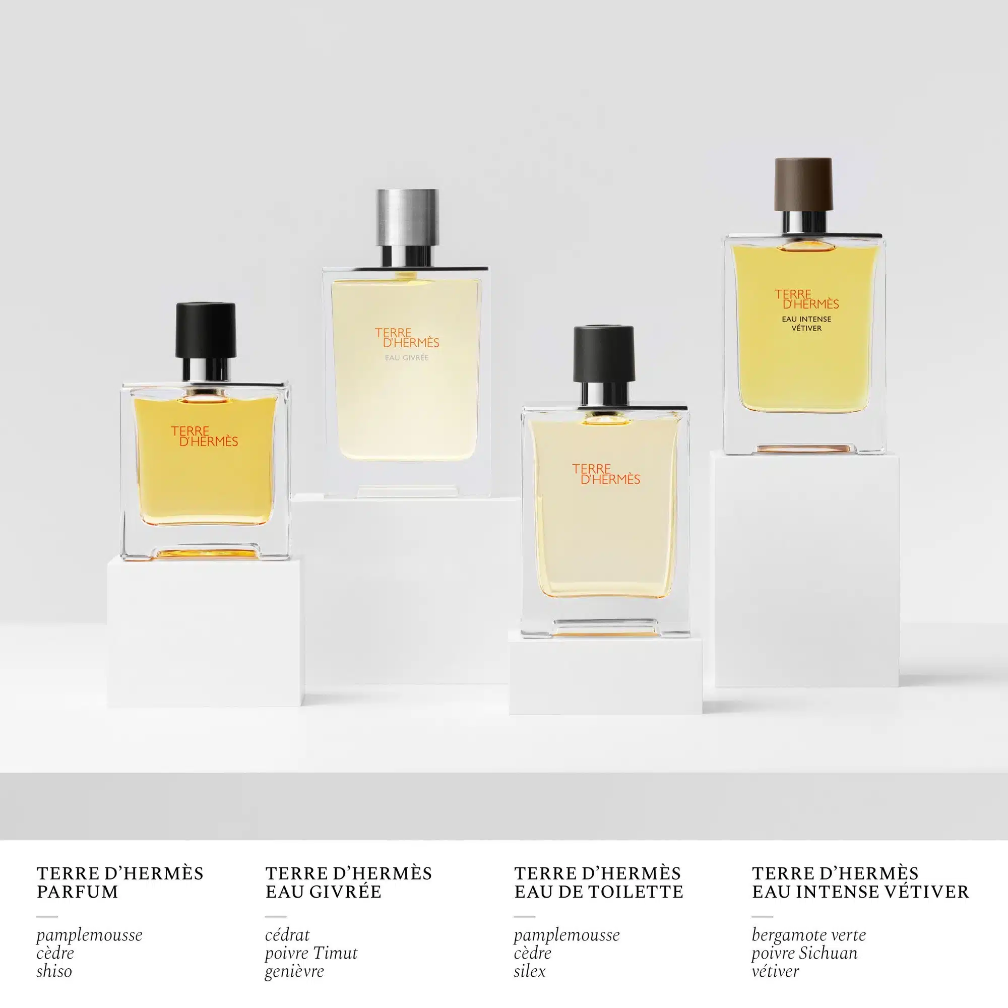 Hermes Terre d'Hermes Pure Perfume 75ml Spray - Image 3