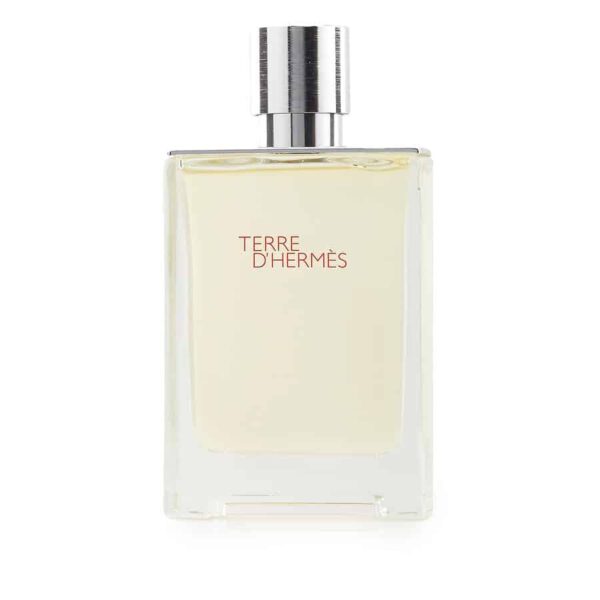 Hermes Terre d'Hermes Eau Givree Eau de Parfum 100ml Spray - Image 2