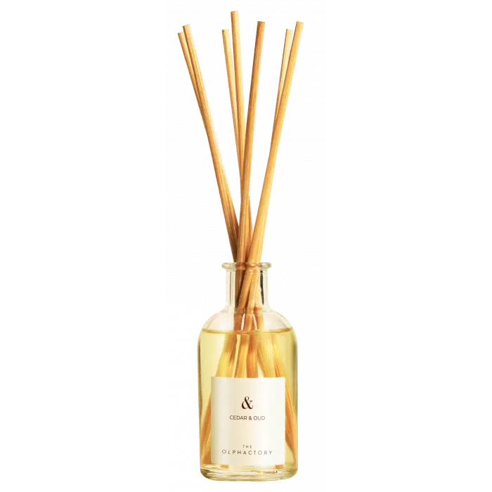 Mikado-cedar-oud The Olphactory Cedar Oud Reed Diffuser 100ml - Image 1